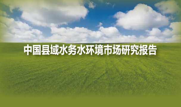 中国县域水务水环境市场研究报告